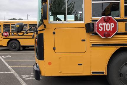 Electric school buses parked in a lot.